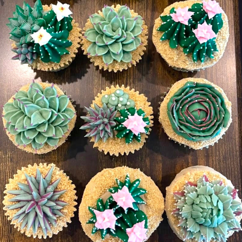where to buy succulent cupcakes Cactus Cupcakes