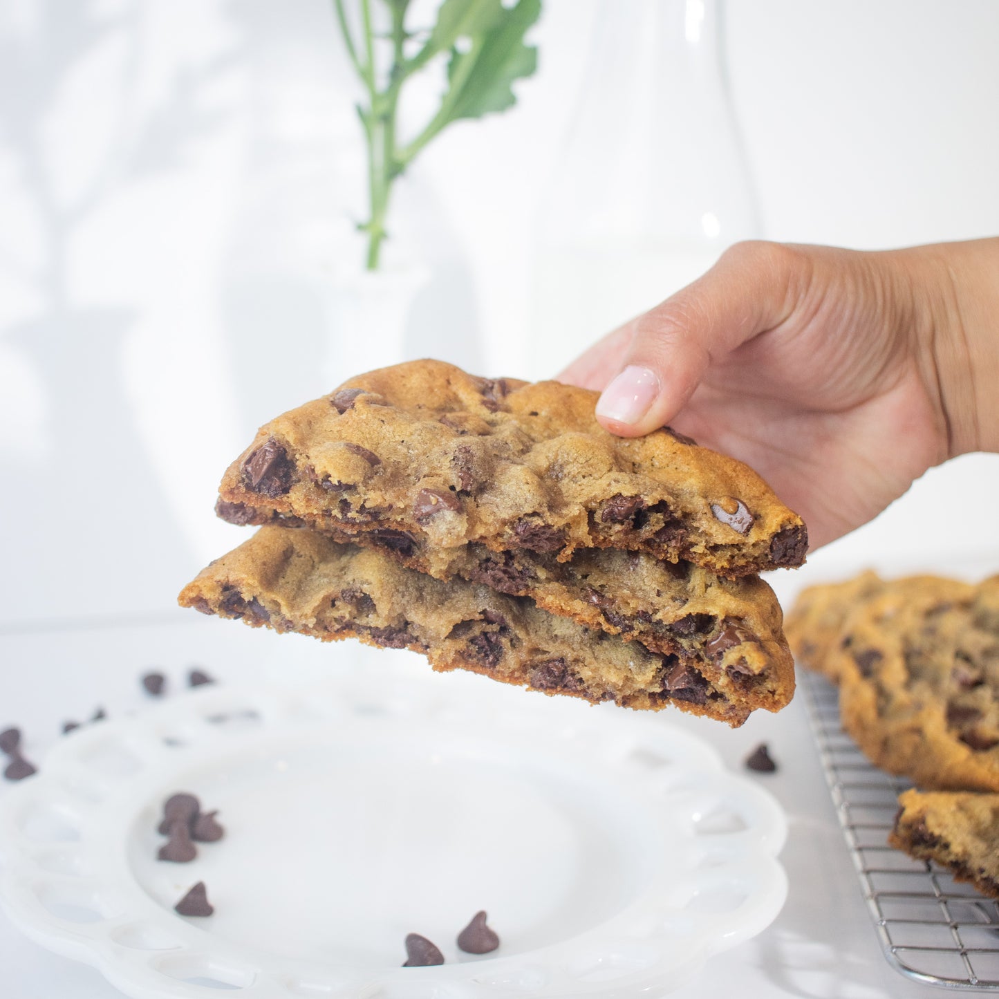Classic Chocolate Chip Chunky Cookie
