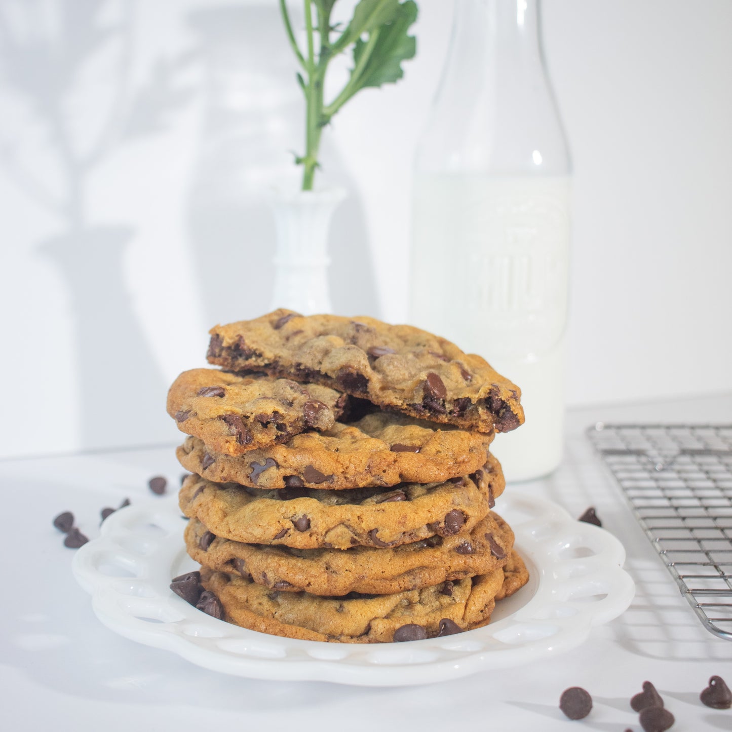Classic Chocolate Chip Chunky Cookie