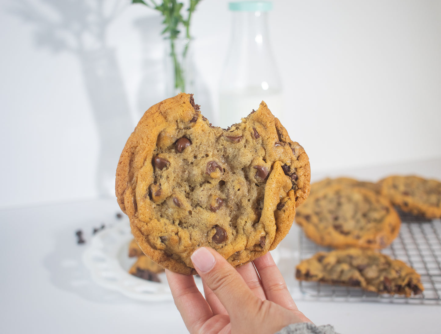 Classic Chocolate Chip Chunky Cookie