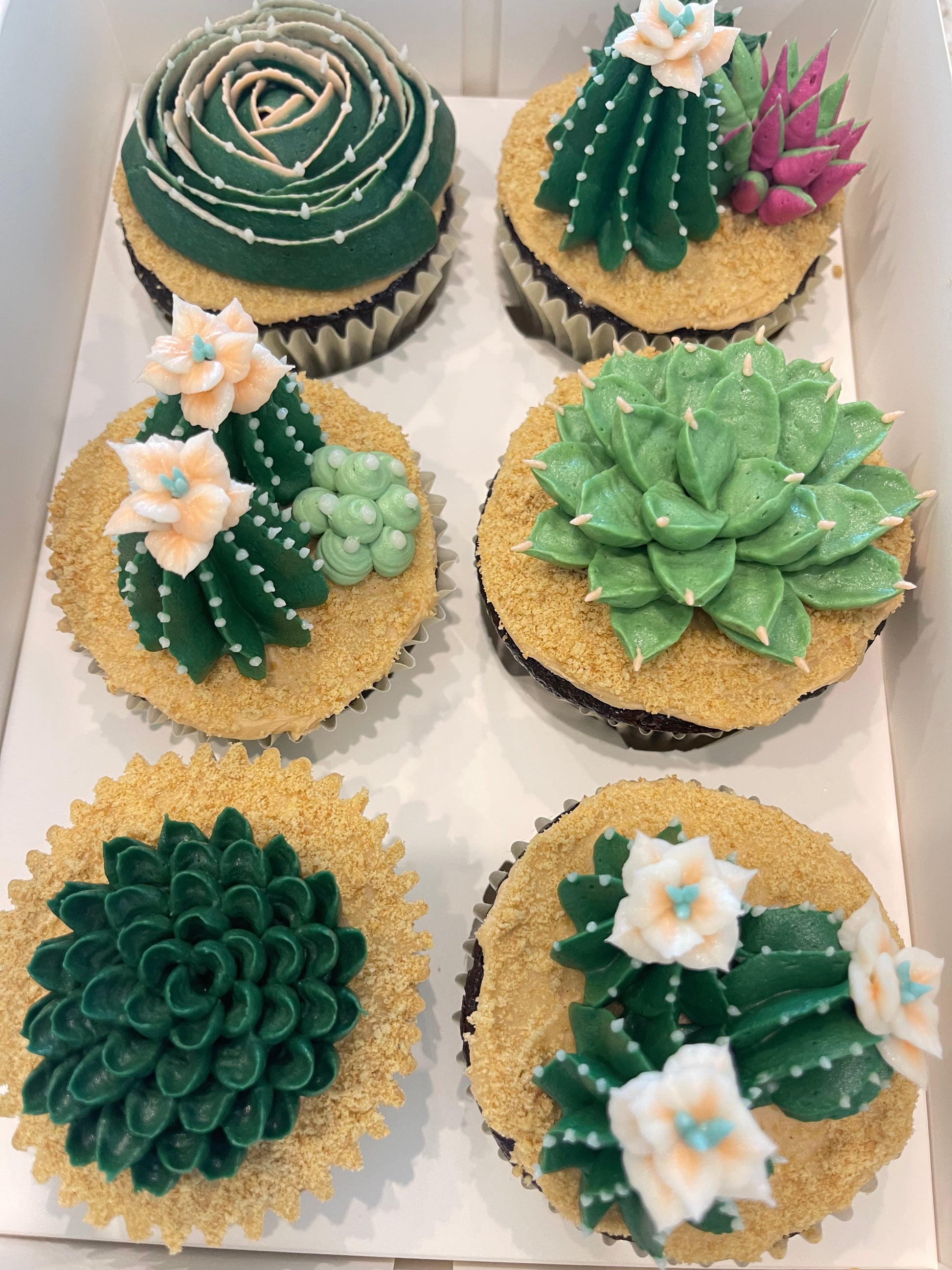 walmart succulent cupcakes Cactus Cupcakes – The Mixing Bowl Bake Shop