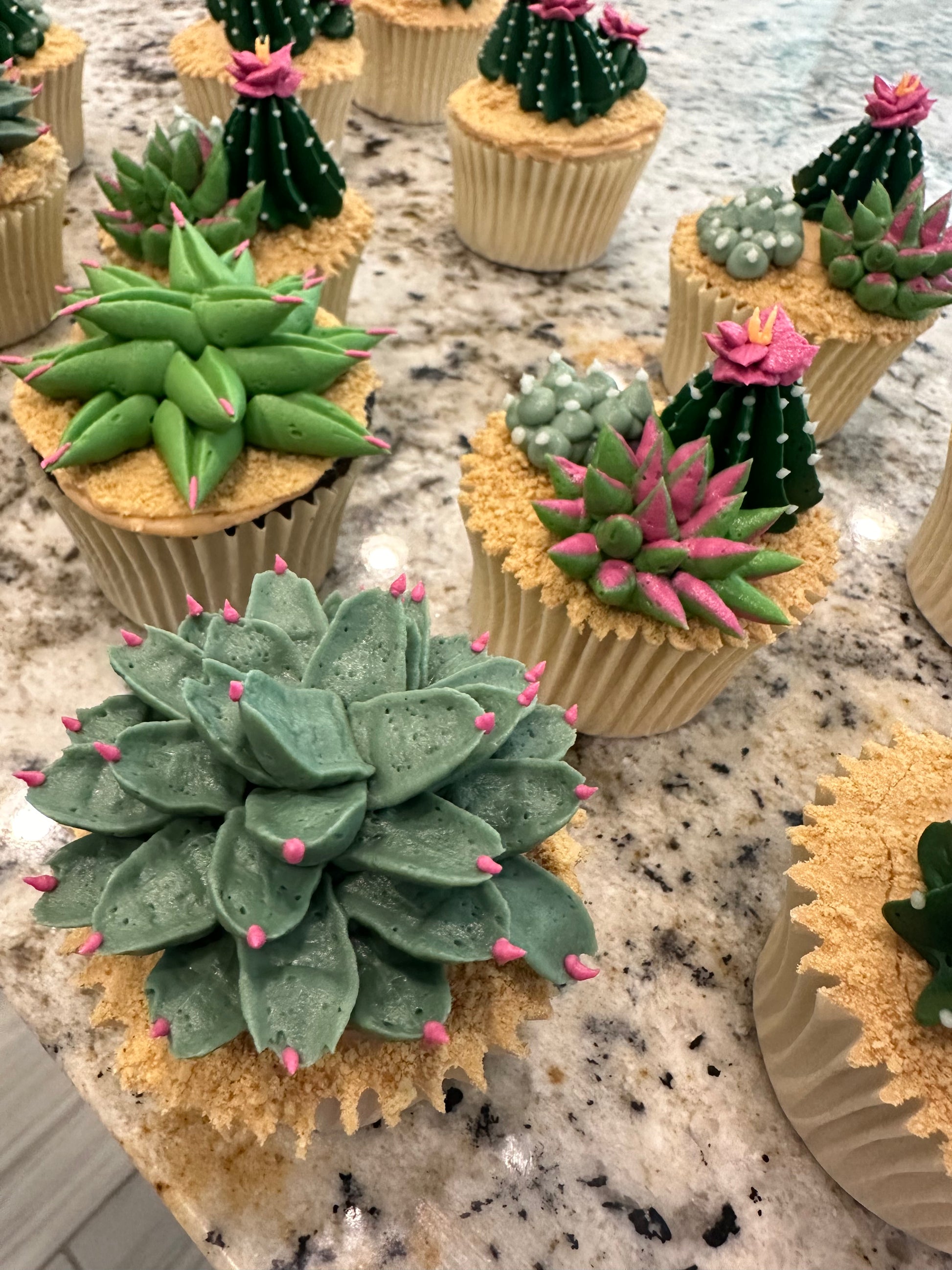 succulent plant cupcakes Cactus Cupcakes