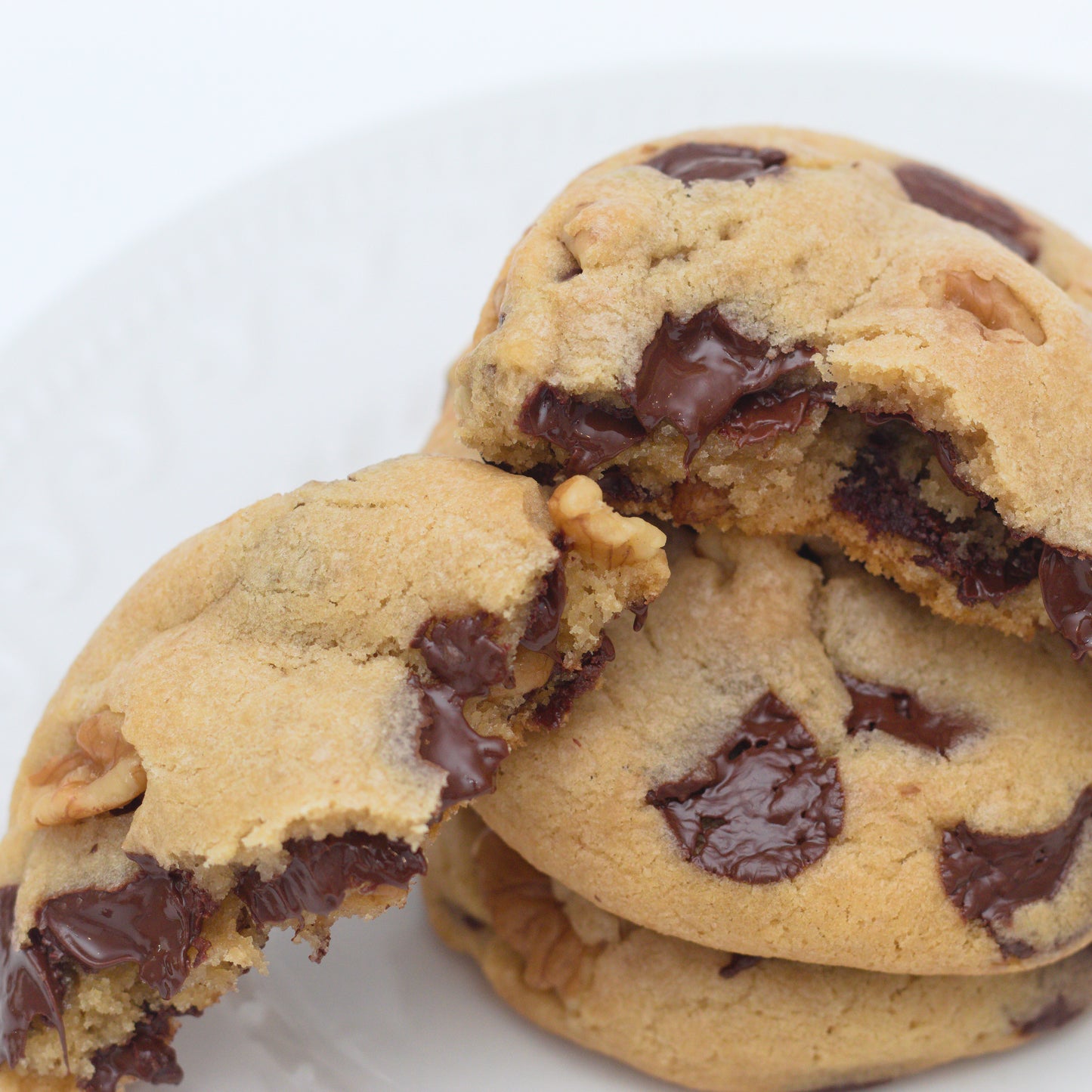 Dark Chocolate Walnut Cookie